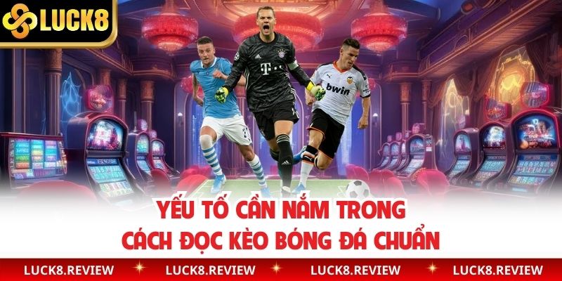 Yếu tố cần nắm trong cách đọc kèo bóng đá chuẩn